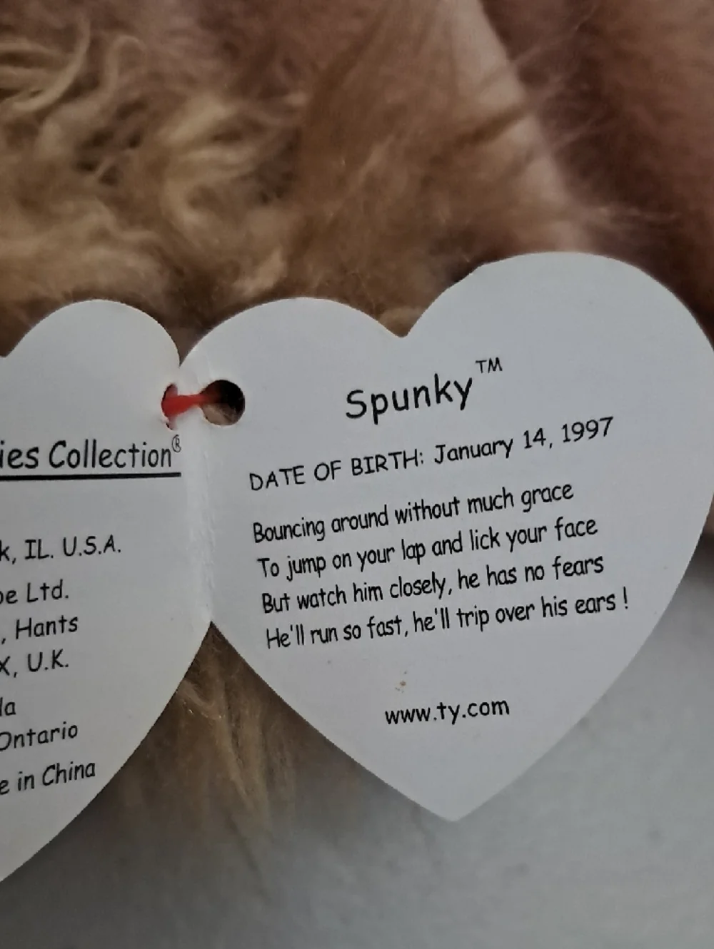 Ty Plush Spunky Puppy with Shaggy Ears - Tan